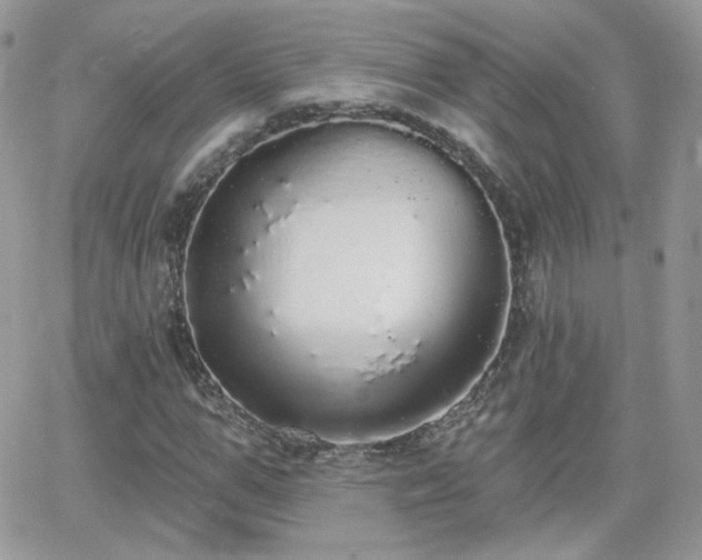 X0000066970967200603271204