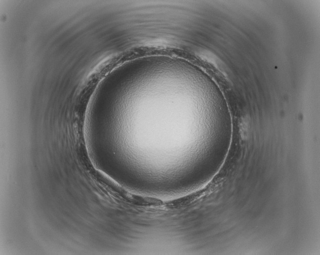 X0000066970968200603271204