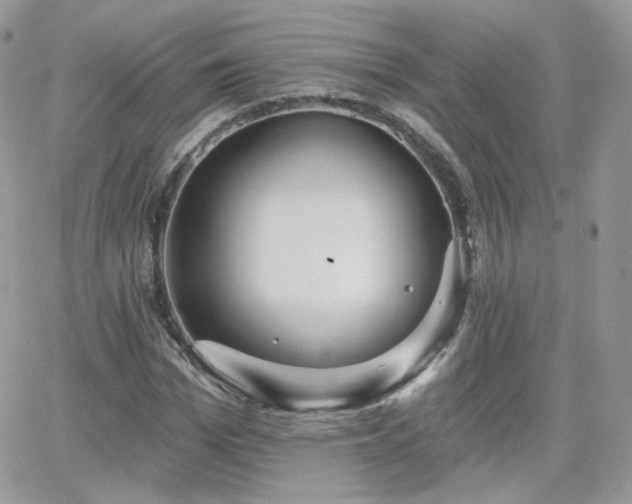 X0000066970969200603271204