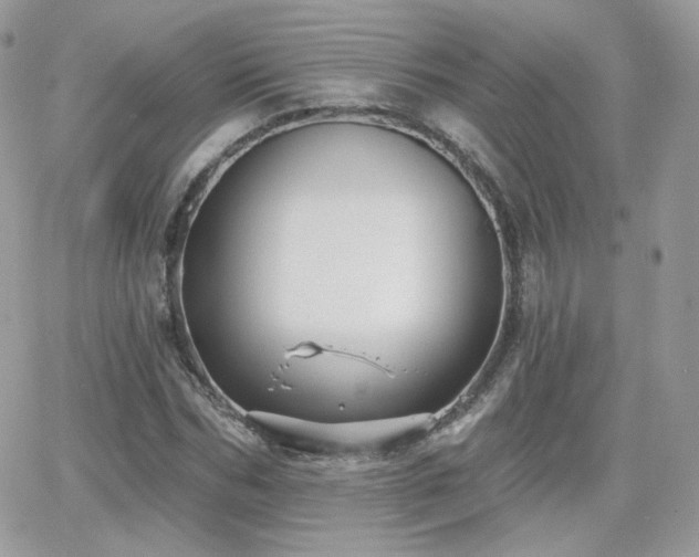 X0000066970970200603271204