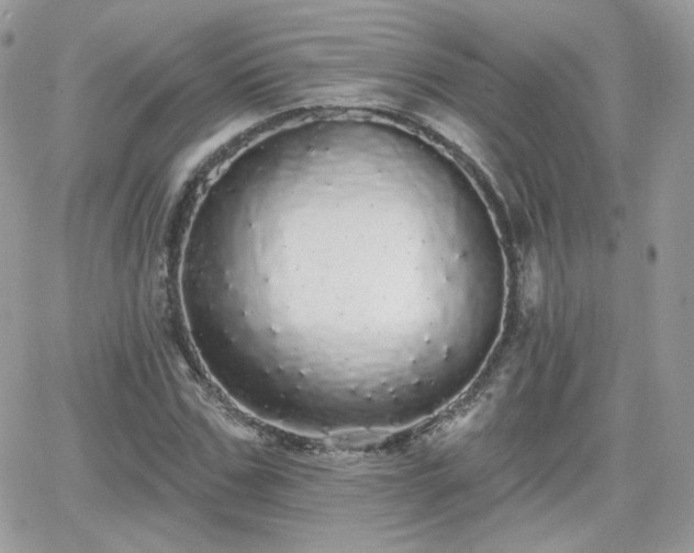 X0000066970971200603271204