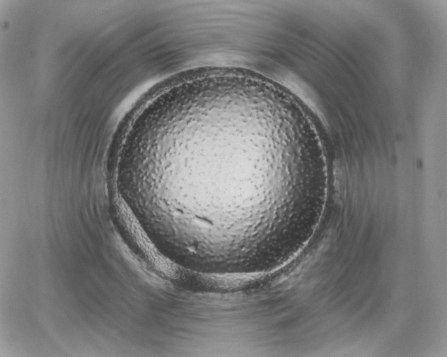 X0000066970972200603271204