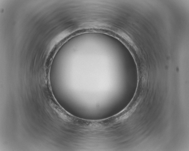 X0000066970974200603271204