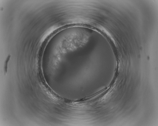 X0000066970975200603271204