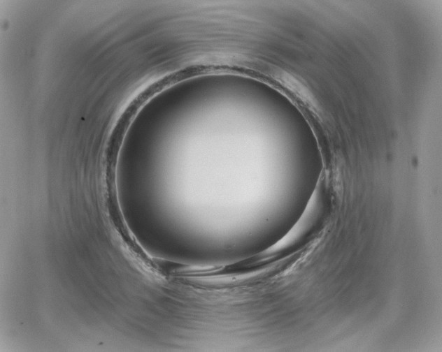 X0000066970976200603271204