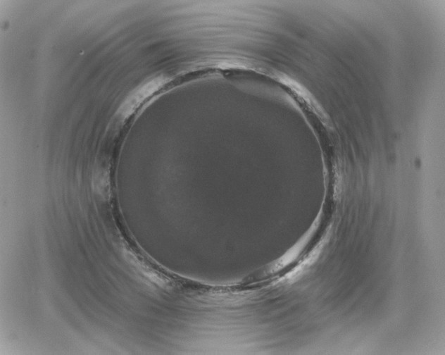 X0000066970977200603271204