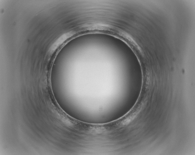 X0000066970978200603271204