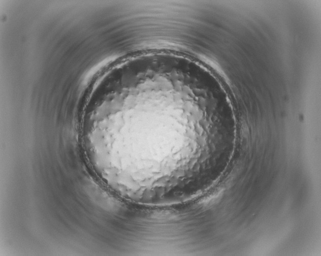 X0000066970979200603271204