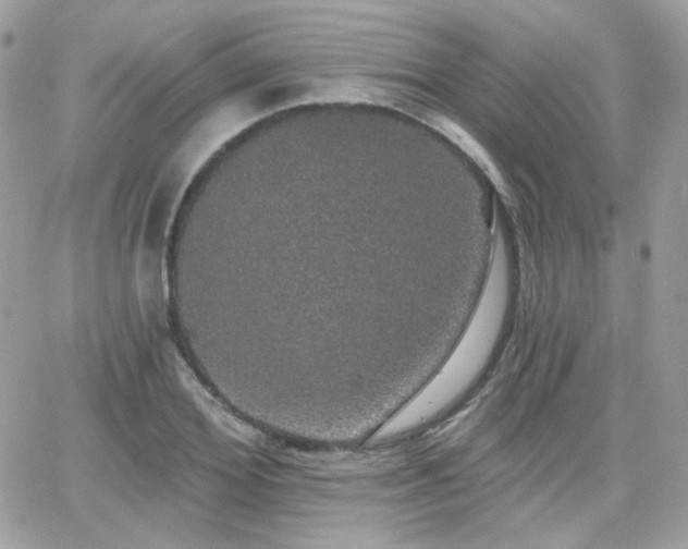 X0000066970980200603271204