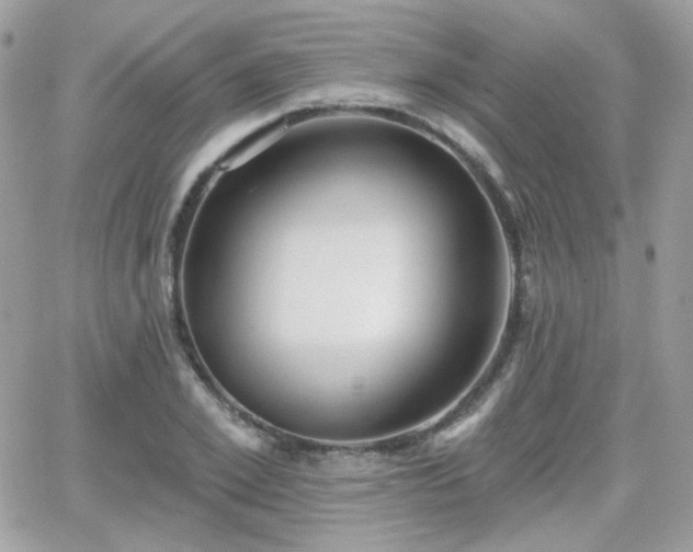 X0000066970981200603271204