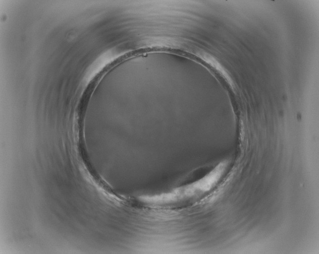 X0000066970983200603271204