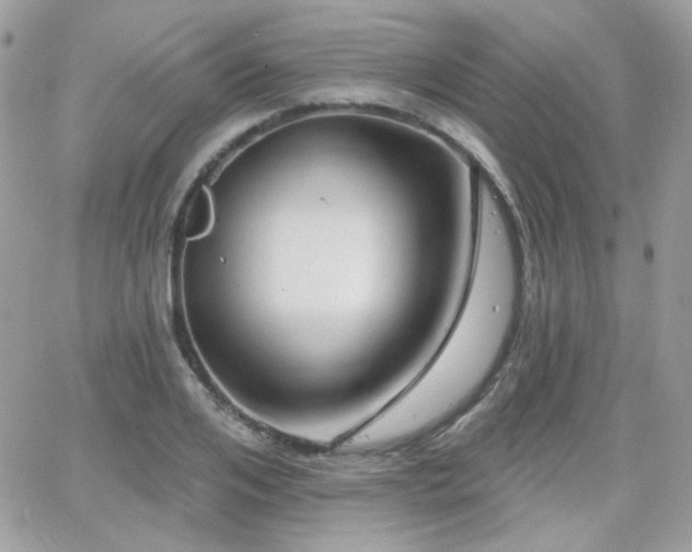 X0000066970984200603271204