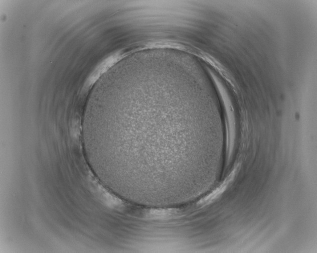 X0000066970985200603271204