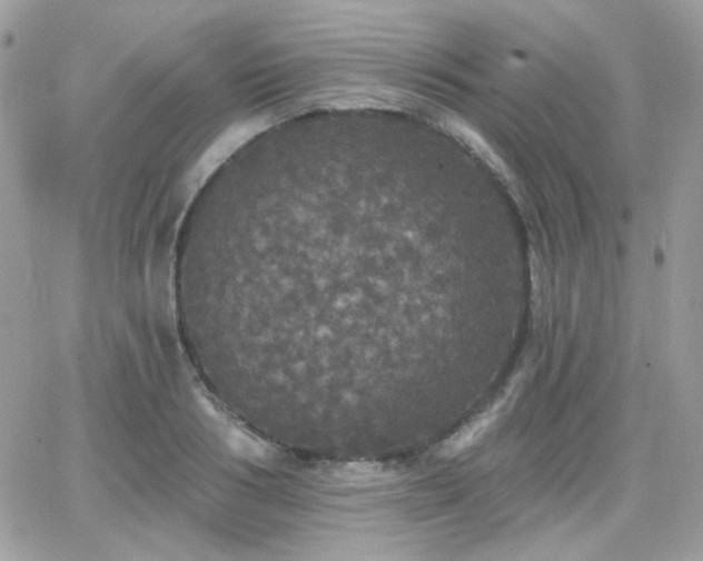 X0000066970986200603271204