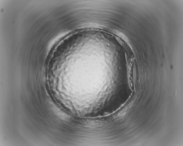 X0000066970987200603271204