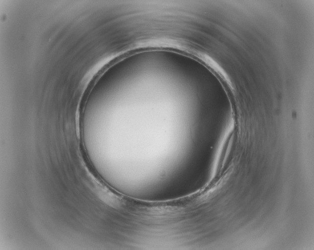 X0000066970988200603271203