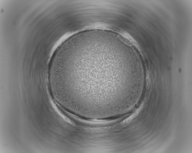 X0000066970989200603271203