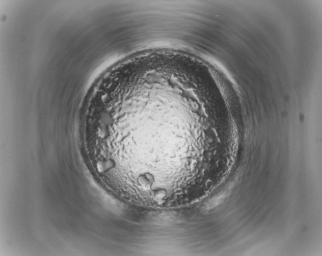 X0000066970991200603271203