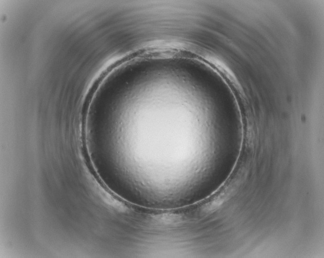 X0000066970992200603271203