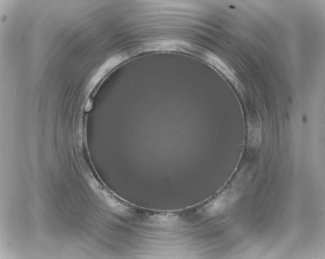 X0000066970994200603271203