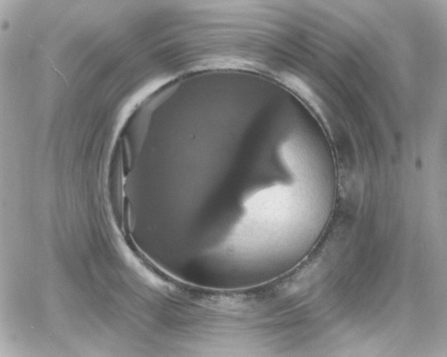 X0000066970995200603271203