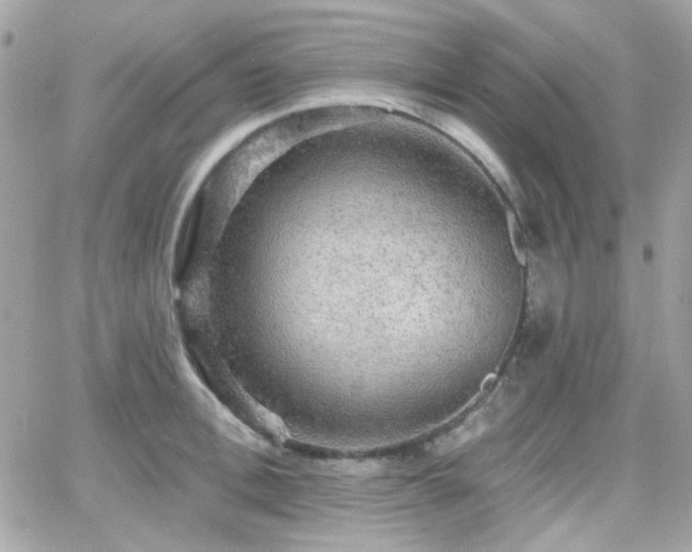 X0000066970996200603271203