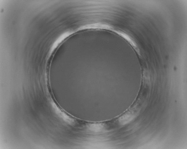 X0000066970998200603271203