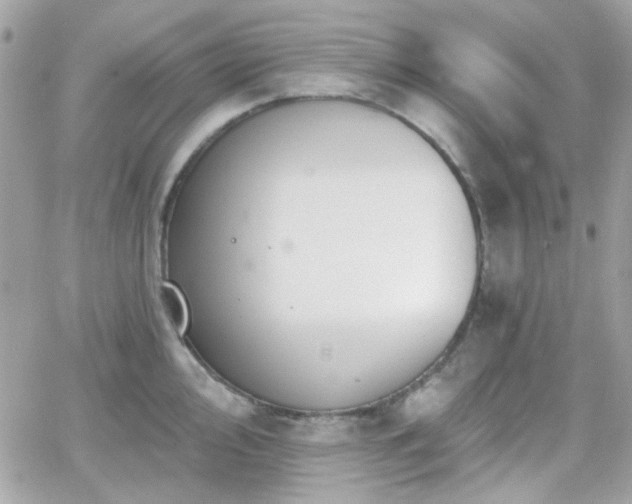 X0000066971000200603271203