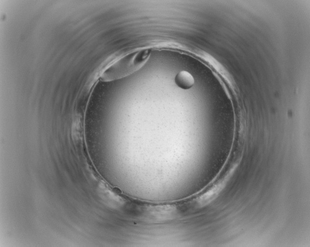 X0000066971001200603271203