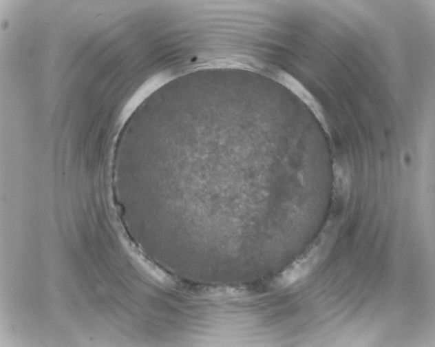 X0000066971002200603271203