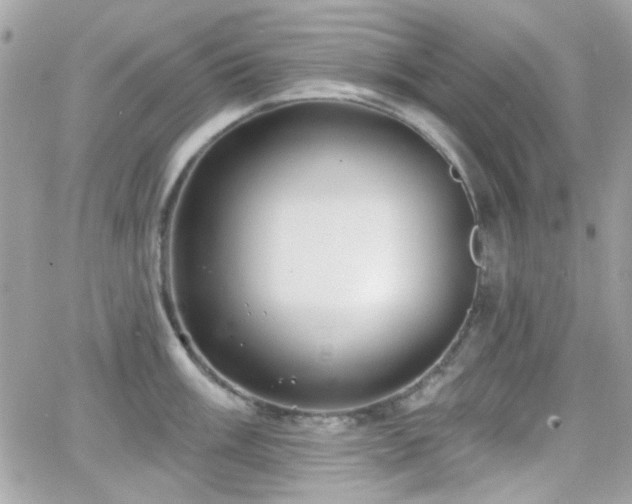 X0000066971003200603271203