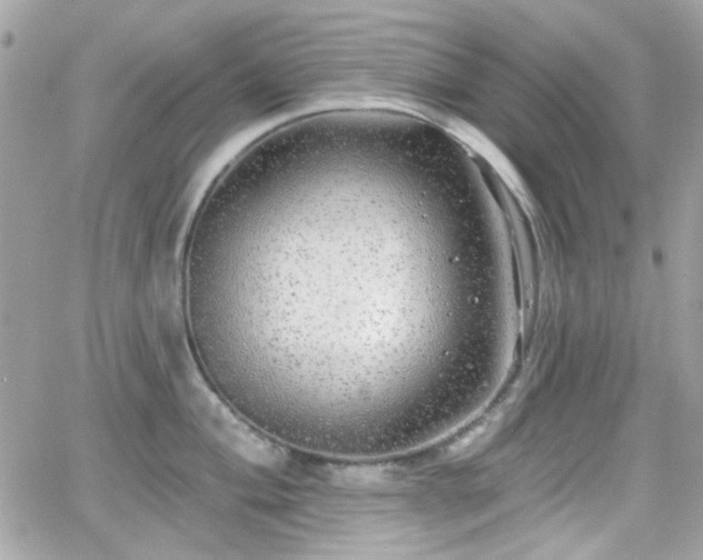 X0000066971004200603271203