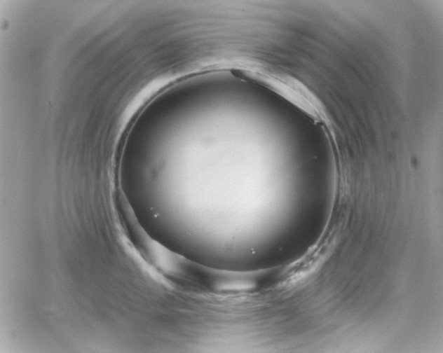 X0000066971005200603271203