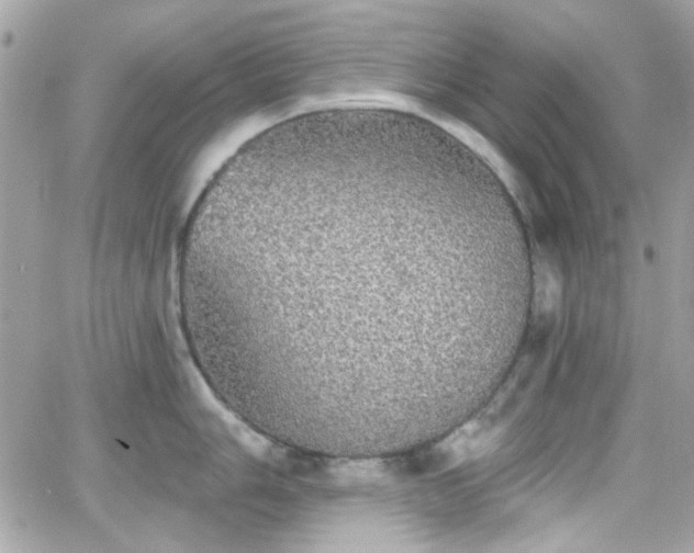 X0000066971006200603271203