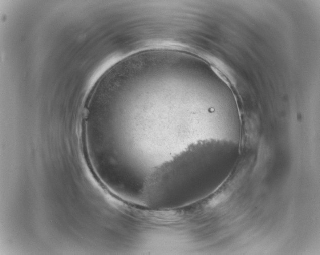 X0000066971007200603271203