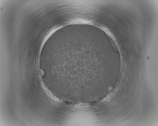 X0000066971008200603271203