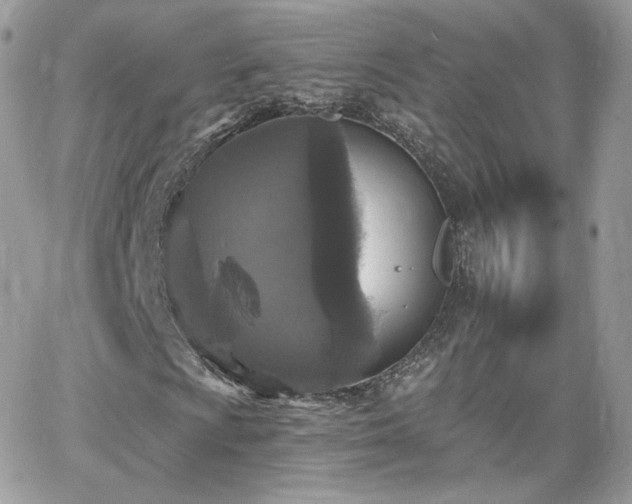 X0000066971009200603271202