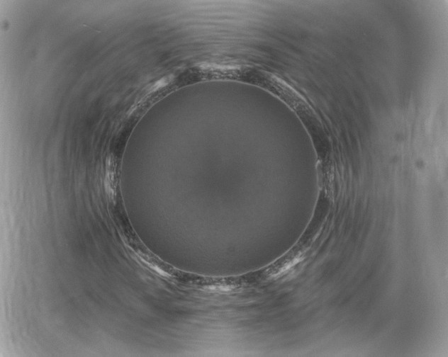 X0000066971010200603271202