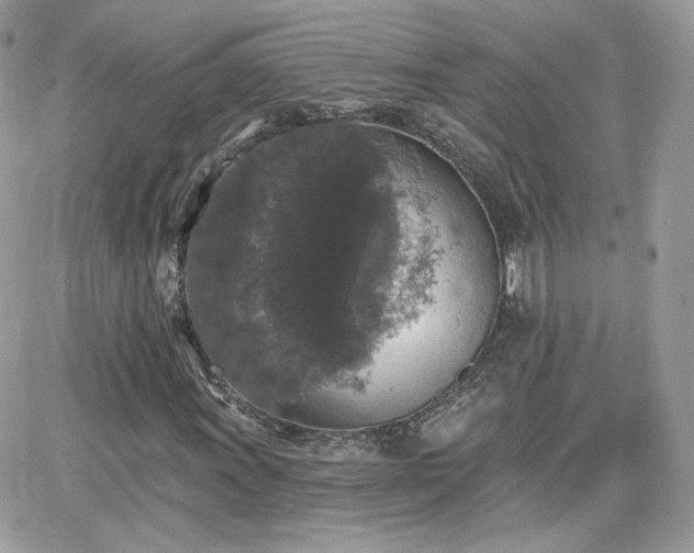 X0000066971011200603271202