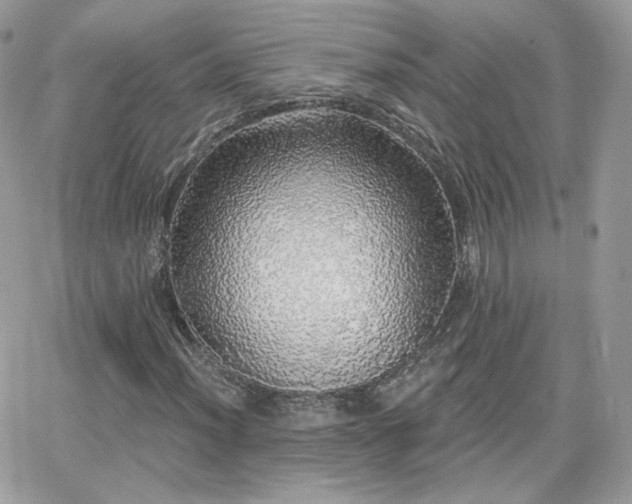 X0000066971012200603271202