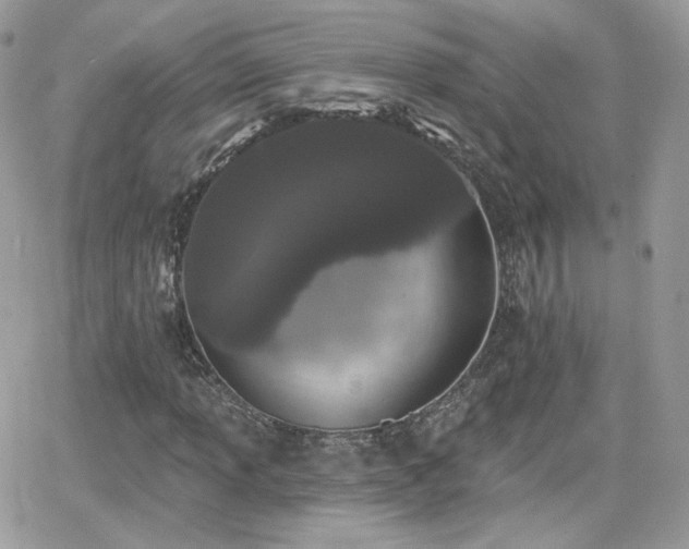 X0000066971013200603271202