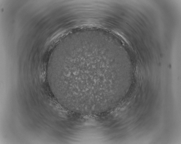 X0000066971015200603271202