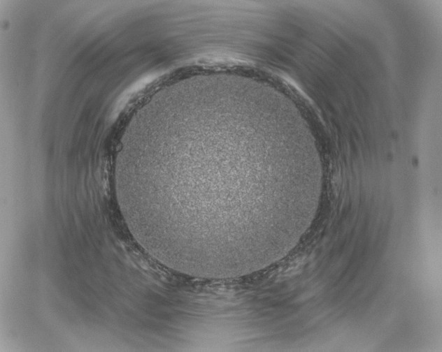 X0000066971016200603271202