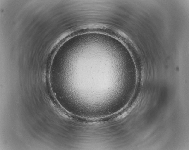 X0000066971017200603271202