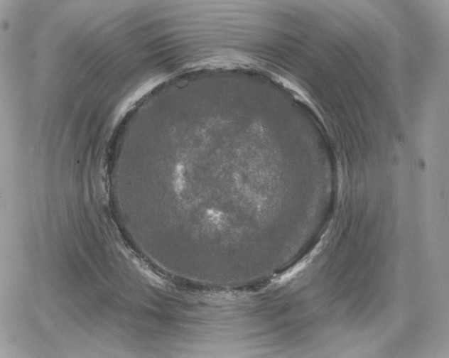 X0000066971018200603271202