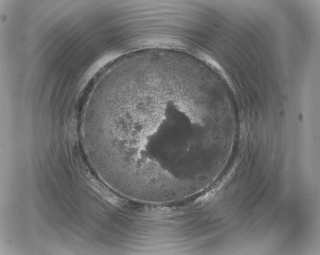 X0000066971019200603271202