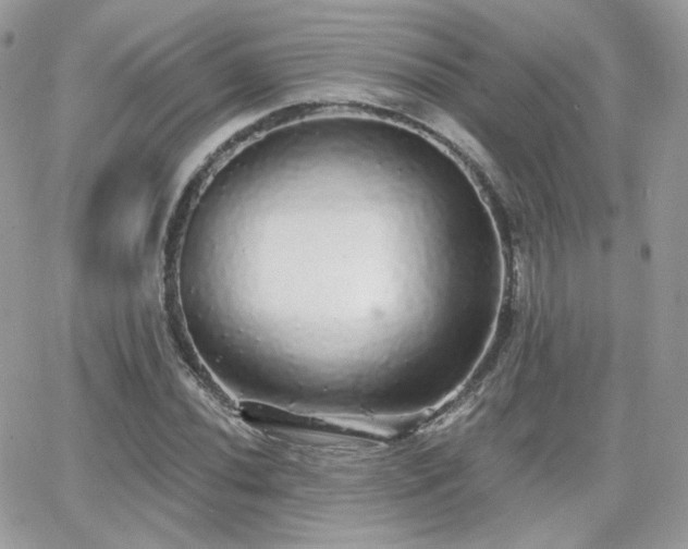 X0000066971020200603271202