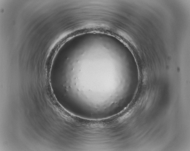 X0000066971021200603271203