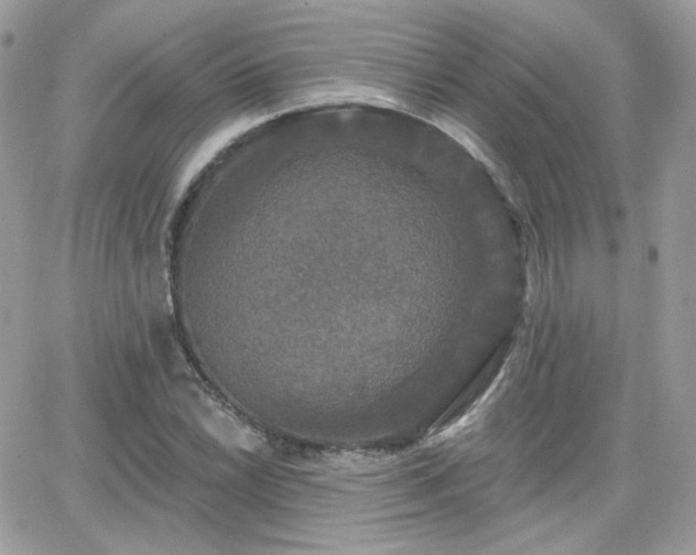 X0000066971022200603271203