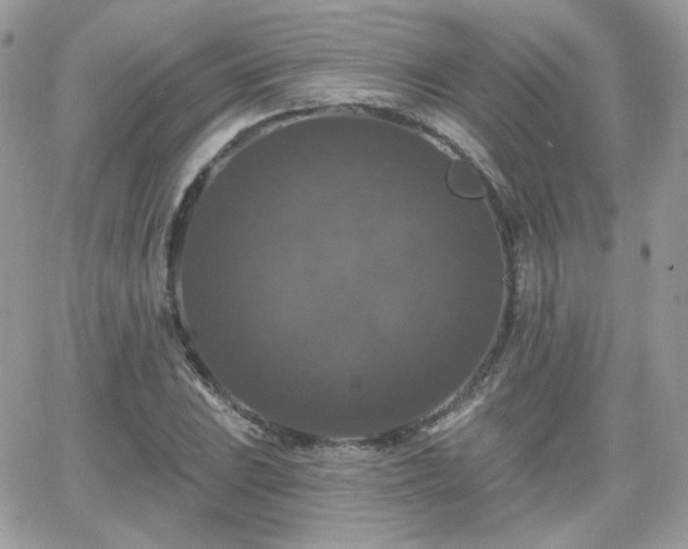 X0000066971023200603271203